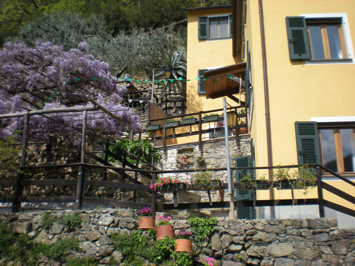 Agriturismo Il Sogno Lorsica Exterior photo